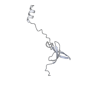 13243_7p7s_3_v1-1
PoxtA-EQ2 antibiotic resistance ABCF bound to E. faecalis 70S ribosome, state II