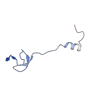 13243_7p7s_4_v1-1
PoxtA-EQ2 antibiotic resistance ABCF bound to E. faecalis 70S ribosome, state II