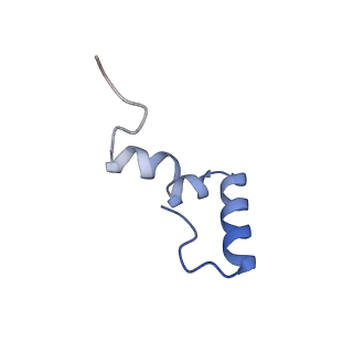 13243_7p7s_6_v1-1
PoxtA-EQ2 antibiotic resistance ABCF bound to E. faecalis 70S ribosome, state II