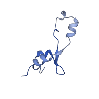 13243_7p7s_7_v1-1
PoxtA-EQ2 antibiotic resistance ABCF bound to E. faecalis 70S ribosome, state II