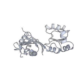 13243_7p7s_F_v1-1
PoxtA-EQ2 antibiotic resistance ABCF bound to E. faecalis 70S ribosome, state II