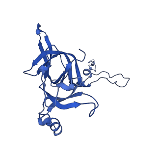 13243_7p7s_H_v1-1
PoxtA-EQ2 antibiotic resistance ABCF bound to E. faecalis 70S ribosome, state II