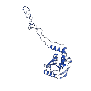 13243_7p7s_I_v1-1
PoxtA-EQ2 antibiotic resistance ABCF bound to E. faecalis 70S ribosome, state II