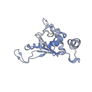 13243_7p7s_J_v1-1
PoxtA-EQ2 antibiotic resistance ABCF bound to E. faecalis 70S ribosome, state II
