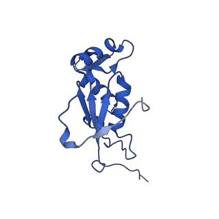 13243_7p7s_M_v1-1
PoxtA-EQ2 antibiotic resistance ABCF bound to E. faecalis 70S ribosome, state II
