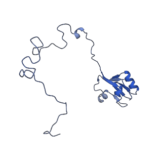 13243_7p7s_O_v1-1
PoxtA-EQ2 antibiotic resistance ABCF bound to E. faecalis 70S ribosome, state II