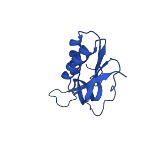 13243_7p7s_P_v1-1
PoxtA-EQ2 antibiotic resistance ABCF bound to E. faecalis 70S ribosome, state II