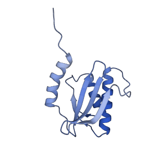 13243_7p7s_R_v1-1
PoxtA-EQ2 antibiotic resistance ABCF bound to E. faecalis 70S ribosome, state II