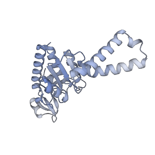 13243_7p7s_c_v1-1
PoxtA-EQ2 antibiotic resistance ABCF bound to E. faecalis 70S ribosome, state II