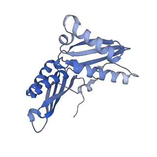 13243_7p7s_d_v1-1
PoxtA-EQ2 antibiotic resistance ABCF bound to E. faecalis 70S ribosome, state II