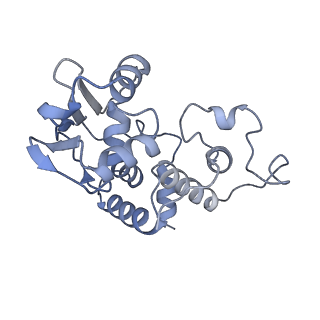13243_7p7s_e_v1-1
PoxtA-EQ2 antibiotic resistance ABCF bound to E. faecalis 70S ribosome, state II