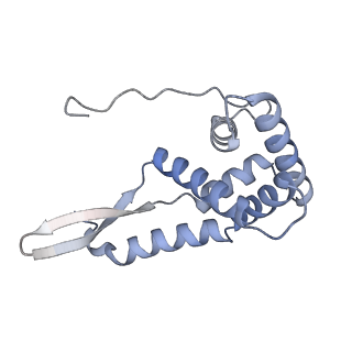 13243_7p7s_h_v1-1
PoxtA-EQ2 antibiotic resistance ABCF bound to E. faecalis 70S ribosome, state II