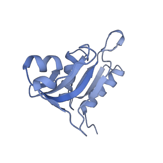 13243_7p7s_i_v1-1
PoxtA-EQ2 antibiotic resistance ABCF bound to E. faecalis 70S ribosome, state II