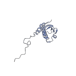 13243_7p7s_j_v1-1
PoxtA-EQ2 antibiotic resistance ABCF bound to E. faecalis 70S ribosome, state II