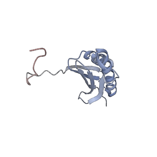 13243_7p7s_l_v1-1
PoxtA-EQ2 antibiotic resistance ABCF bound to E. faecalis 70S ribosome, state II