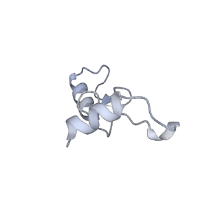 13243_7p7s_o_v1-1
PoxtA-EQ2 antibiotic resistance ABCF bound to E. faecalis 70S ribosome, state II