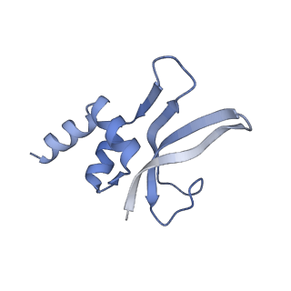 13243_7p7s_q_v1-1
PoxtA-EQ2 antibiotic resistance ABCF bound to E. faecalis 70S ribosome, state II