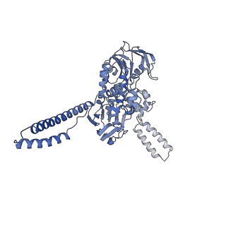 13244_7p7t_0_v1-1
PoxtA-EQ2 antibiotic resistance ABCF bound to E. faecalis 70S ribosome, state III
