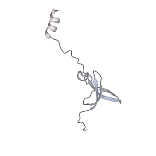 13244_7p7t_3_v1-1
PoxtA-EQ2 antibiotic resistance ABCF bound to E. faecalis 70S ribosome, state III