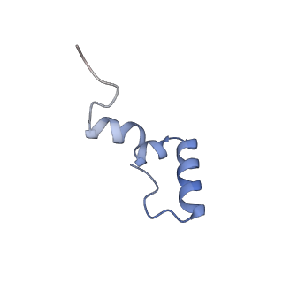 13244_7p7t_6_v1-1
PoxtA-EQ2 antibiotic resistance ABCF bound to E. faecalis 70S ribosome, state III