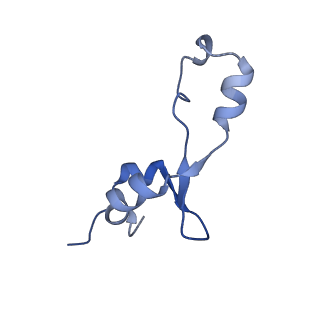 13244_7p7t_7_v1-1
PoxtA-EQ2 antibiotic resistance ABCF bound to E. faecalis 70S ribosome, state III