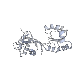 13244_7p7t_F_v1-1
PoxtA-EQ2 antibiotic resistance ABCF bound to E. faecalis 70S ribosome, state III
