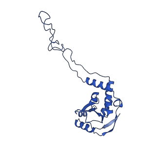 13244_7p7t_I_v1-1
PoxtA-EQ2 antibiotic resistance ABCF bound to E. faecalis 70S ribosome, state III