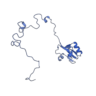13244_7p7t_O_v1-1
PoxtA-EQ2 antibiotic resistance ABCF bound to E. faecalis 70S ribosome, state III