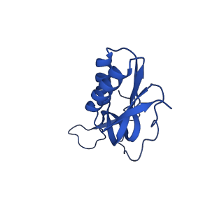 13244_7p7t_P_v1-1
PoxtA-EQ2 antibiotic resistance ABCF bound to E. faecalis 70S ribosome, state III