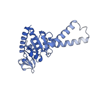13244_7p7t_c_v1-1
PoxtA-EQ2 antibiotic resistance ABCF bound to E. faecalis 70S ribosome, state III