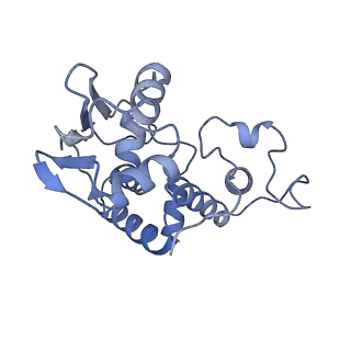 13244_7p7t_e_v1-1
PoxtA-EQ2 antibiotic resistance ABCF bound to E. faecalis 70S ribosome, state III