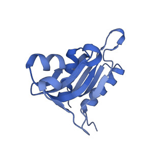 13244_7p7t_i_v1-1
PoxtA-EQ2 antibiotic resistance ABCF bound to E. faecalis 70S ribosome, state III