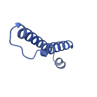 13245_7p7u_1_v1-1
E. faecalis 70S ribosome with P-tRNA, state IV