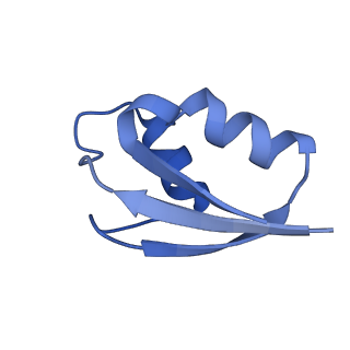 13245_7p7u_2_v1-1
E. faecalis 70S ribosome with P-tRNA, state IV
