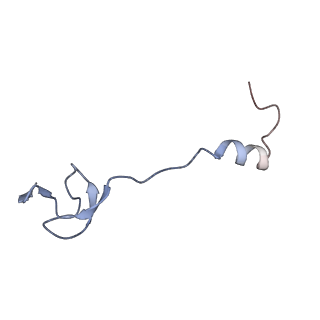 13245_7p7u_4_v1-1
E. faecalis 70S ribosome with P-tRNA, state IV