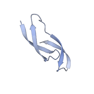 13245_7p7u_5_v1-1
E. faecalis 70S ribosome with P-tRNA, state IV