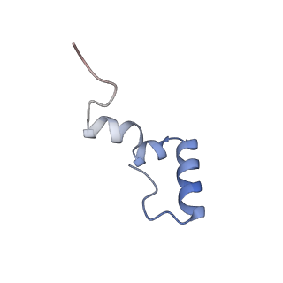 13245_7p7u_6_v1-1
E. faecalis 70S ribosome with P-tRNA, state IV