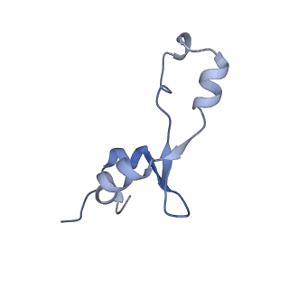 13245_7p7u_7_v1-1
E. faecalis 70S ribosome with P-tRNA, state IV