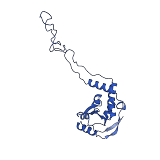 13245_7p7u_I_v1-1
E. faecalis 70S ribosome with P-tRNA, state IV