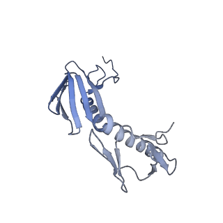 13245_7p7u_K_v1-1
E. faecalis 70S ribosome with P-tRNA, state IV