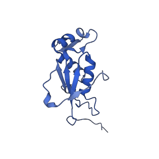 13245_7p7u_M_v1-1
E. faecalis 70S ribosome with P-tRNA, state IV