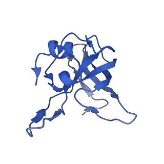 13245_7p7u_N_v1-1
E. faecalis 70S ribosome with P-tRNA, state IV