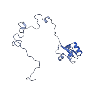 13245_7p7u_O_v1-1
E. faecalis 70S ribosome with P-tRNA, state IV