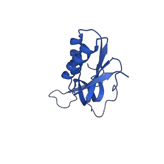 13245_7p7u_P_v1-1
E. faecalis 70S ribosome with P-tRNA, state IV