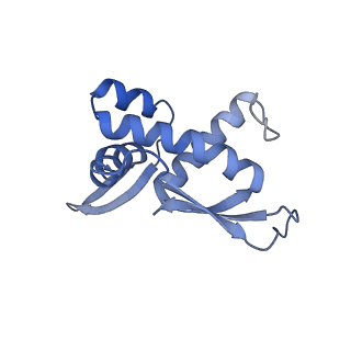 13245_7p7u_Q_v1-1
E. faecalis 70S ribosome with P-tRNA, state IV
