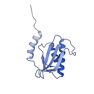 13245_7p7u_R_v1-1
E. faecalis 70S ribosome with P-tRNA, state IV