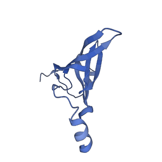 13245_7p7u_S_v1-1
E. faecalis 70S ribosome with P-tRNA, state IV