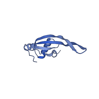 13245_7p7u_W_v1-1
E. faecalis 70S ribosome with P-tRNA, state IV