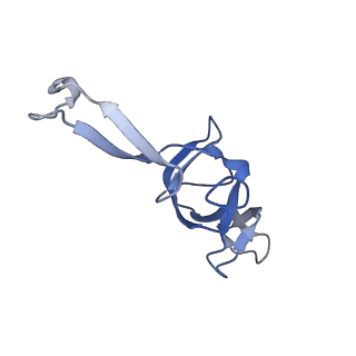 13245_7p7u_X_v1-1
E. faecalis 70S ribosome with P-tRNA, state IV
