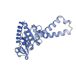 13245_7p7u_c_v1-1
E. faecalis 70S ribosome with P-tRNA, state IV